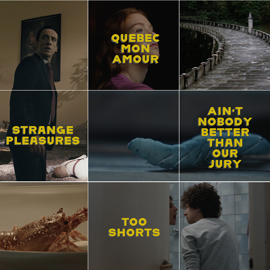 Content image 5 square